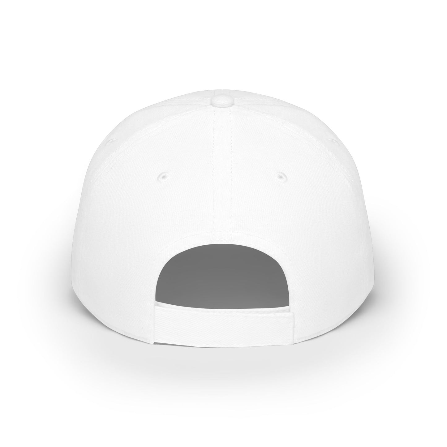 Flyin Colors Low Profile Baseball Cap