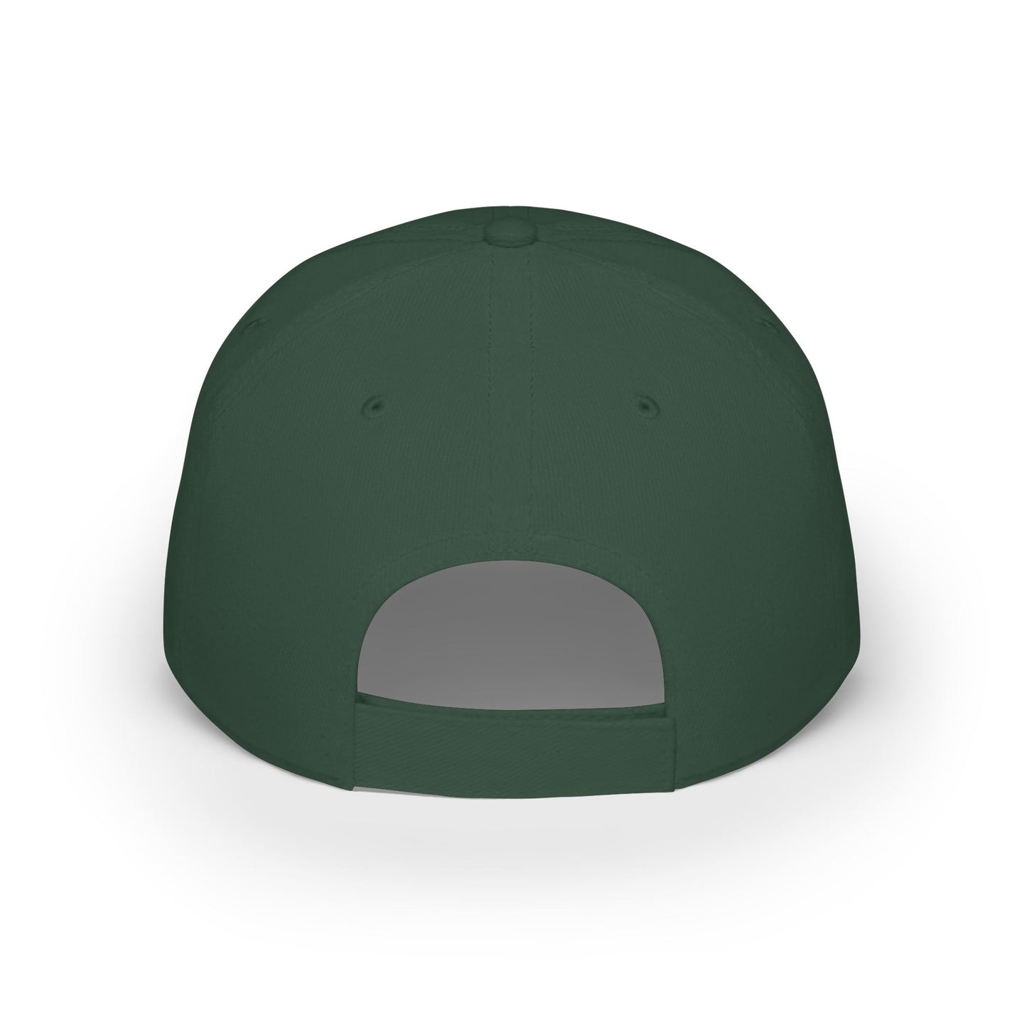 Flyin Colors Low Profile Baseball Cap
